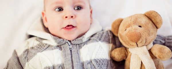 Peluche Ours