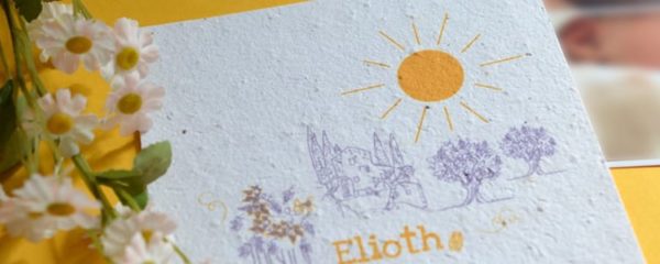 faire-part de naissance